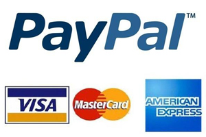 оплата прогноза на систему пайпал купить прогноз через paypal